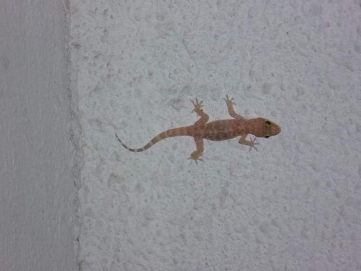 Η φωτογραφία της ημέρας