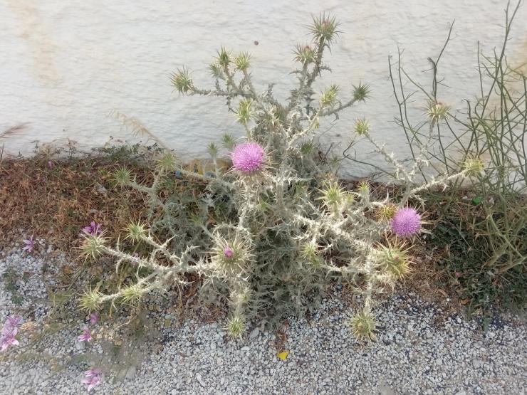 Η φωτογραφία της ημέρας