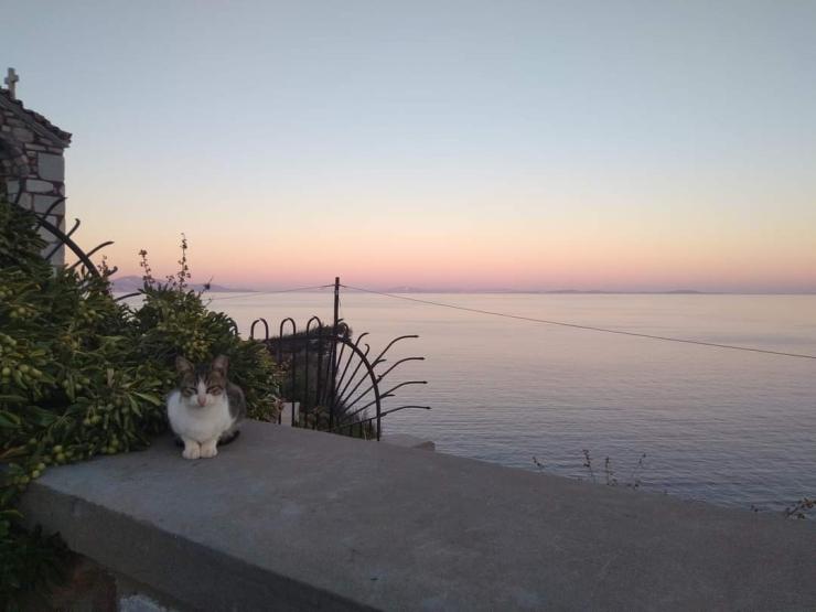 Η φωτογραφία της ημέρας