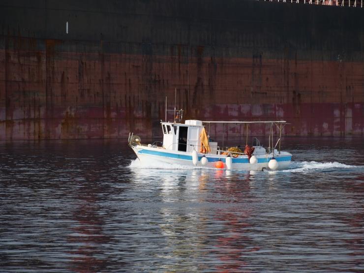 Η φωτογραφία της ημέρας