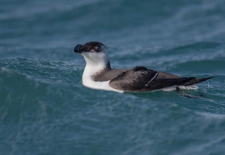 Η φωτογραφία της ημέρας