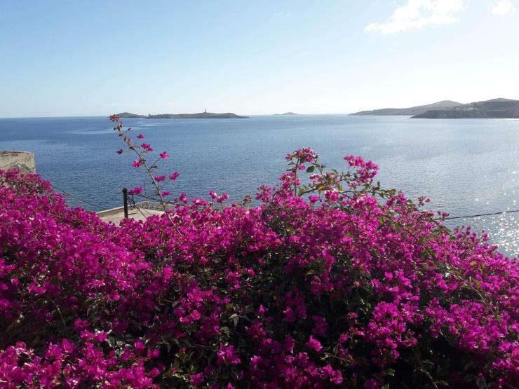 Η φωτογραφία της ημέρας