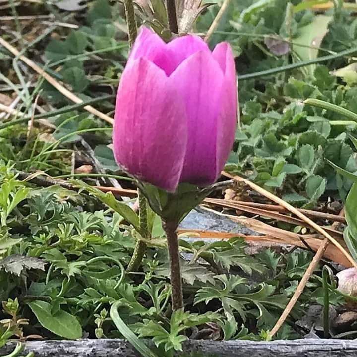 Η φωτογραφία της ημέρας