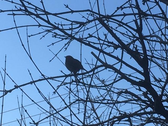 Η φωτογραφία της ημέρας