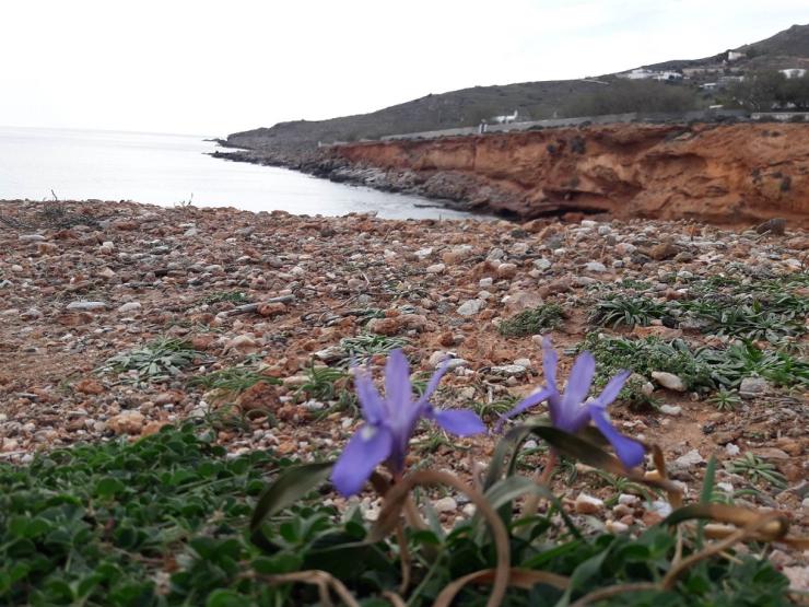 Η φωτογραφία της ημέρας