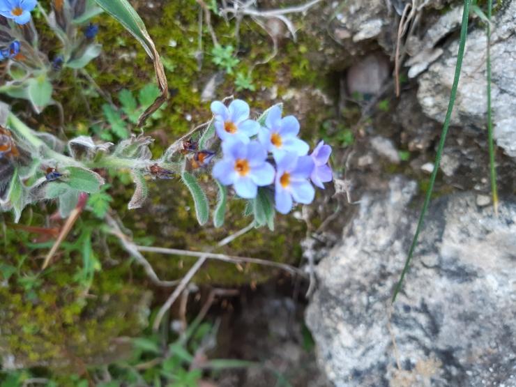 Η φωτογραφία της ημέρας