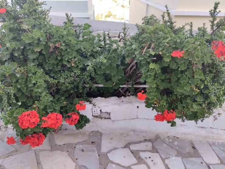 Η φωτογραφία της ημέρας