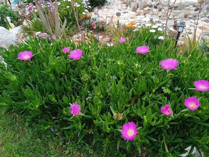 Η φωτογραφία της ημέρας