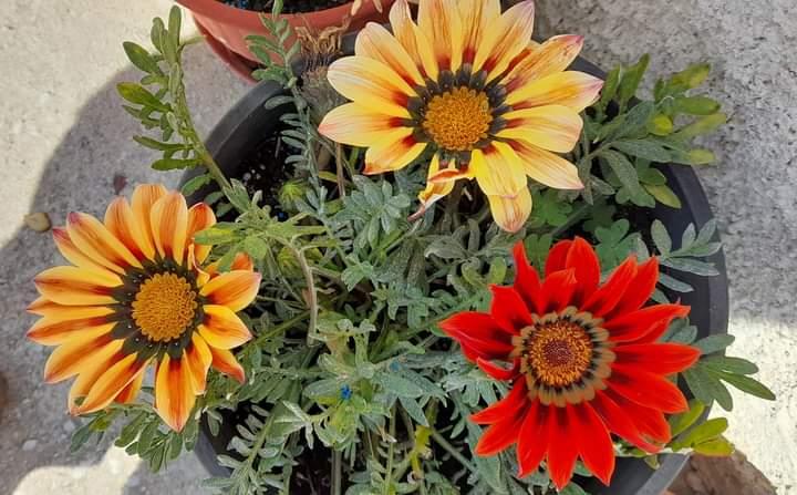 Η φωτογραφία της ημέρας