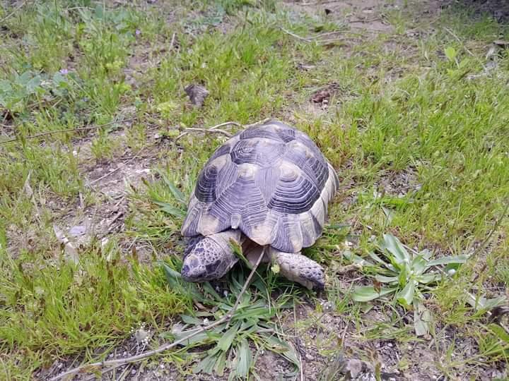 Η φωτογραφία της ημέρας