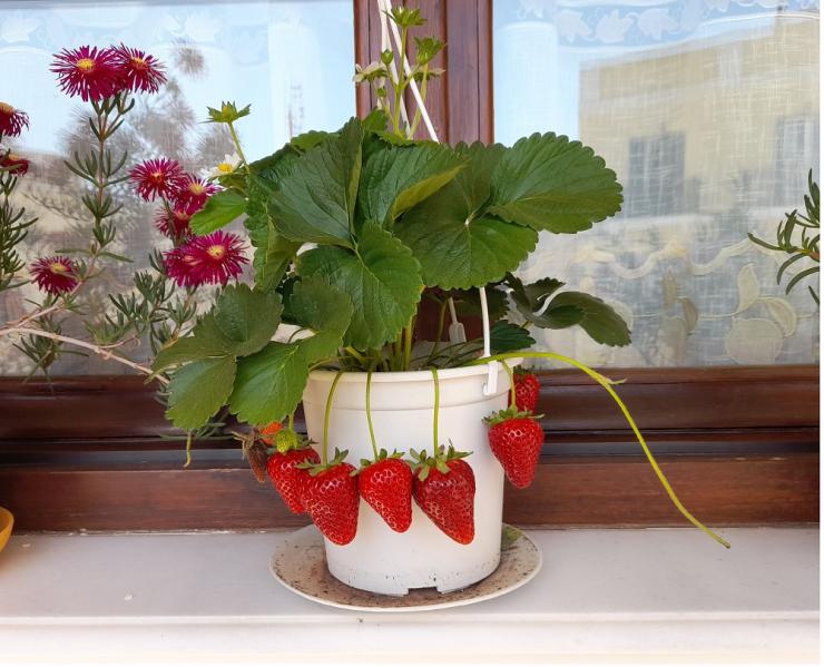 Η φωτογραφία της ημέρας