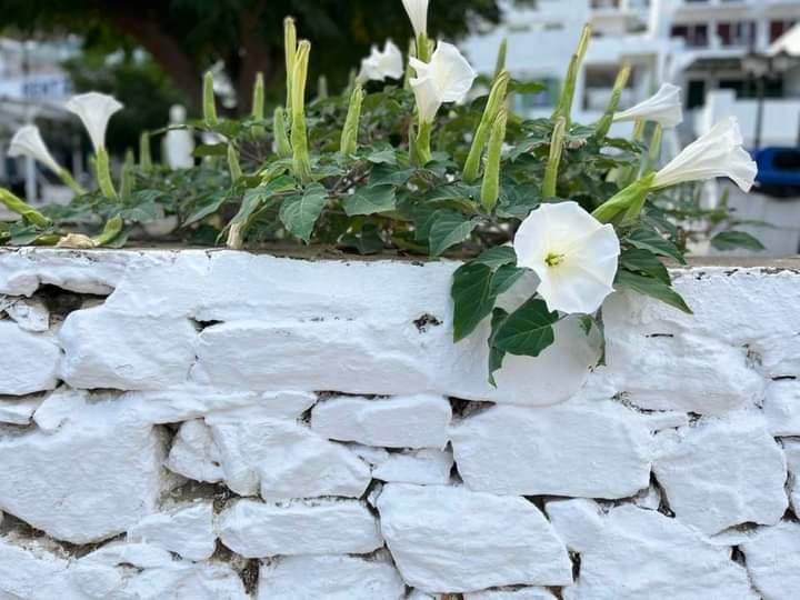 Η φωτογραφία της ημέρας