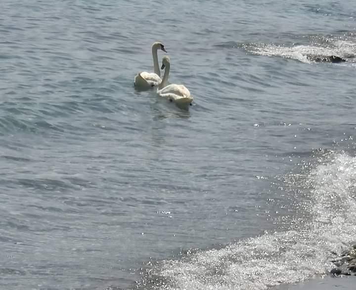 Η φωτογραφία της ημέρας