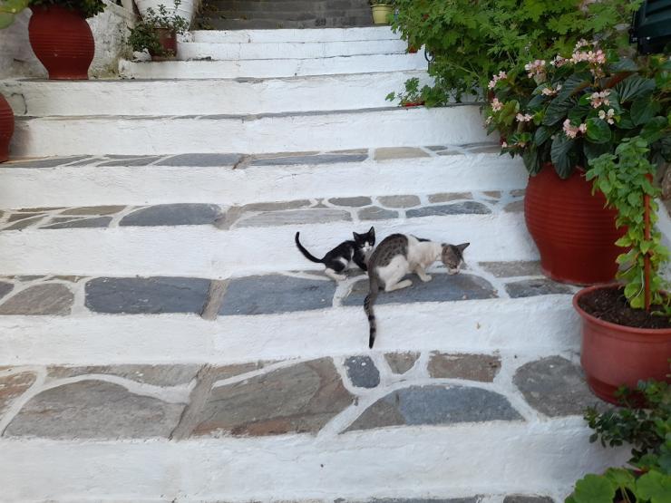 Η φωτογραφία της ημέρας