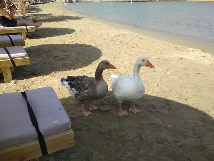 Η φωτογραφία της ημέρας