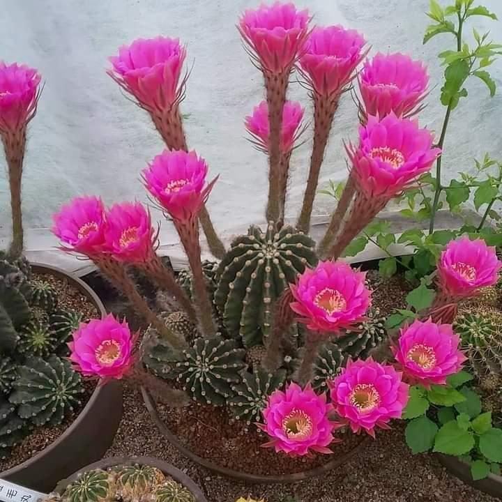 Η φωτογραφία της ημέρας