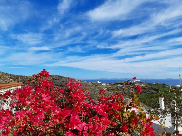 Η φωτογραφία της ημέρας