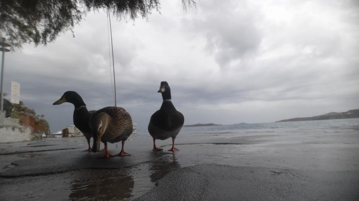 Η φωτογραφία της ημέρας