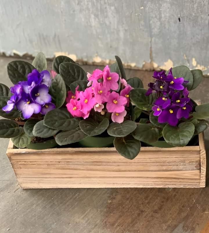 Η φωτογραφία της ημέρας