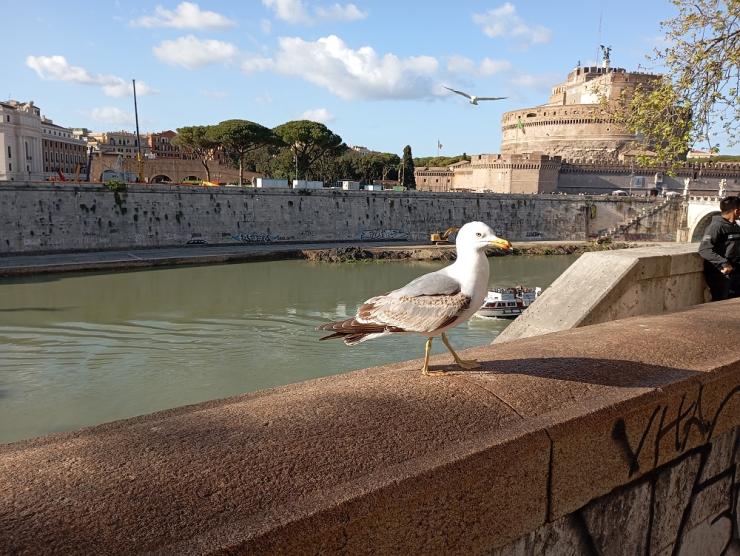 Η φωτογραφία της ημέρας