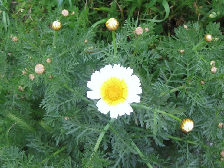 Η φωτογραφία της ημέρας