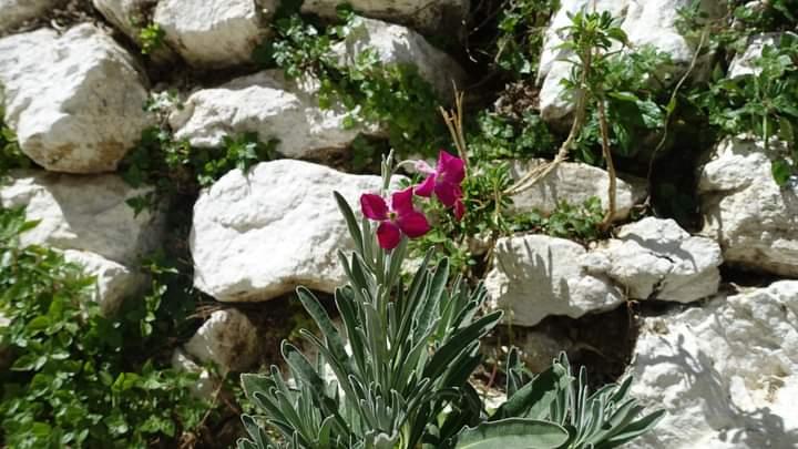 Η φωτογραφία της ημέρας