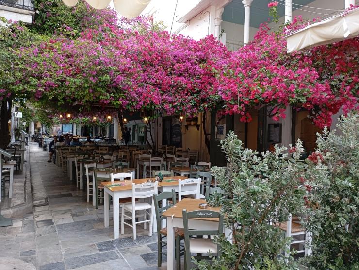 Η φωτογραφία της ημέρας