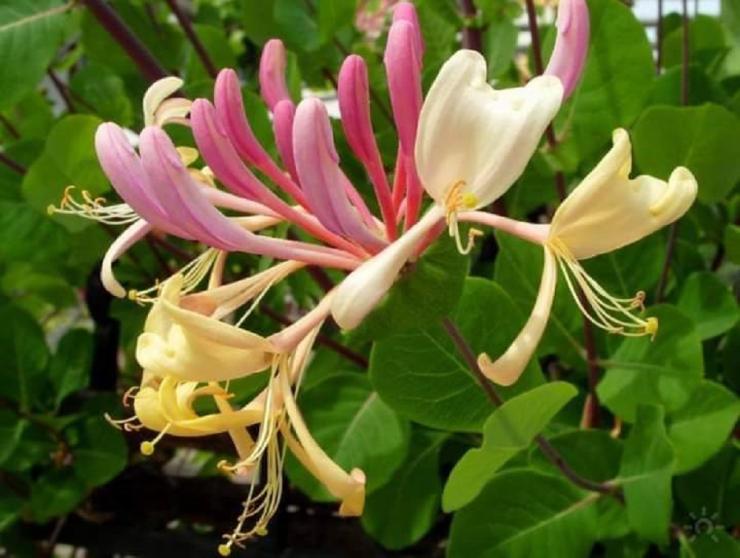 Η φωτογραφία της ημέρας