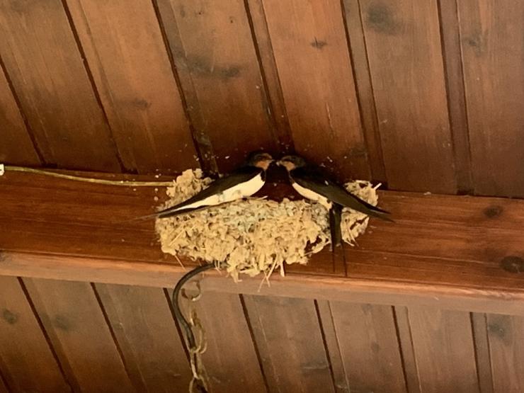 Η φωτογραφία της ημέρας