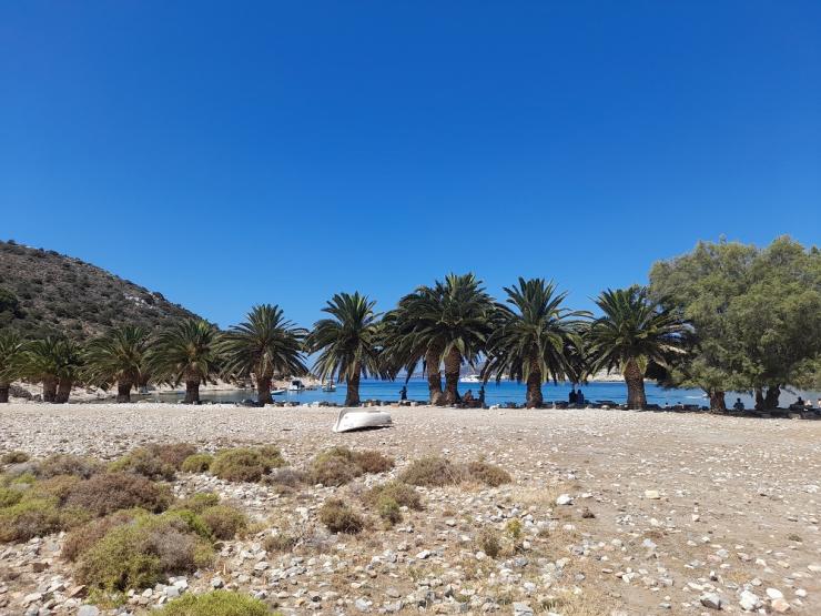 Η φωτογραφία της ημέρας