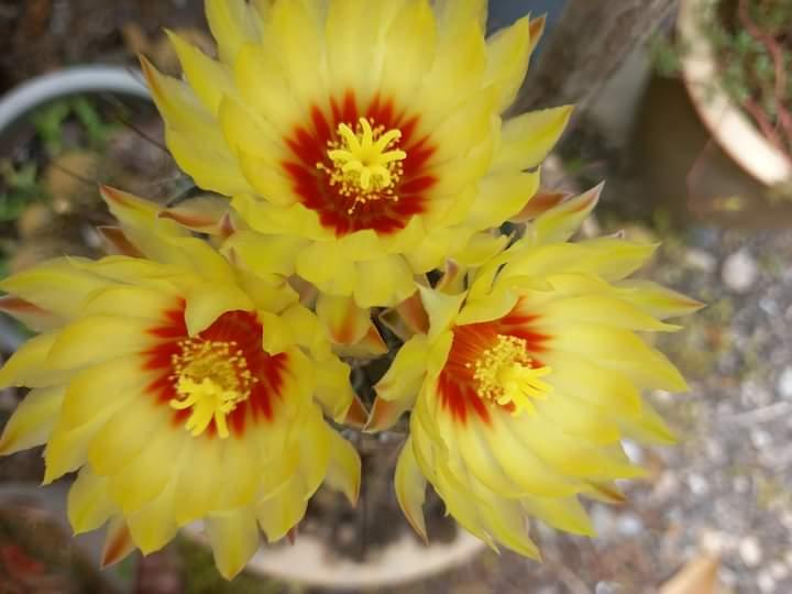 Η φωτογραφία της ημέρας