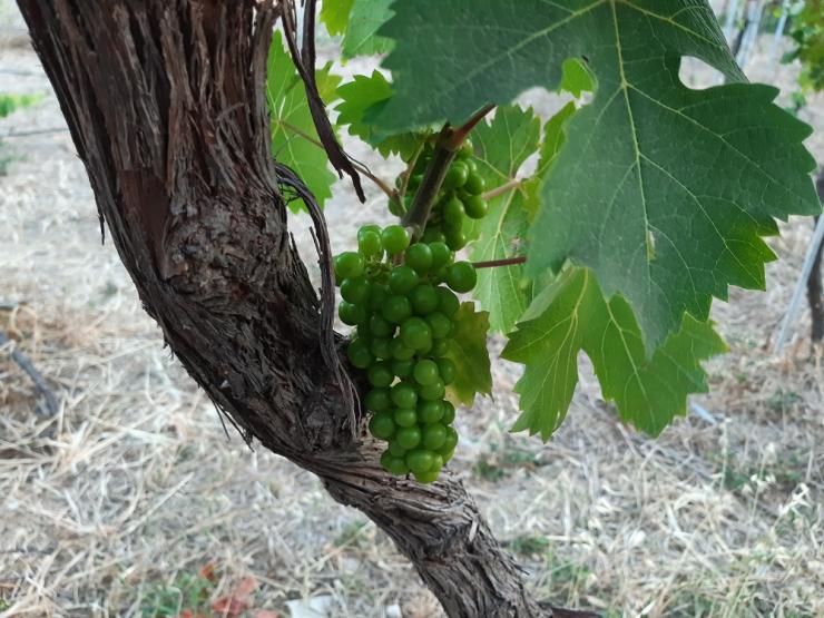 Η φωτογραφία της ημέρας