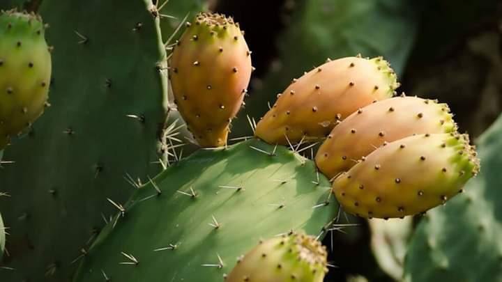 Η φωτογραφία της ημέρας