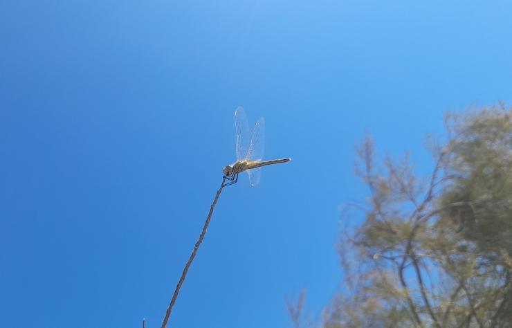 Η φωτογραφία της ημέρας