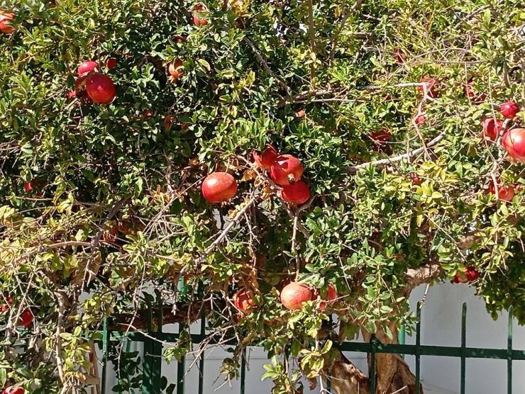 Η φωτογραφία της ημέρας
