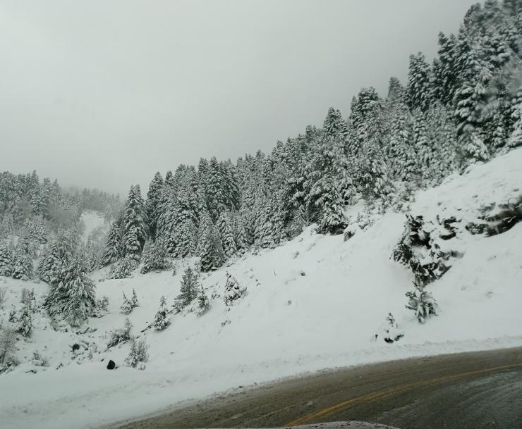 Η φωτογραφία της ημέρας