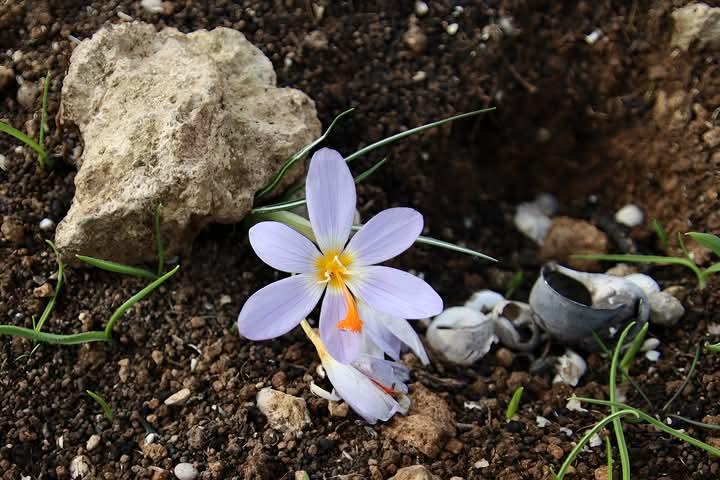 Η φωτογραφία της ημέρας