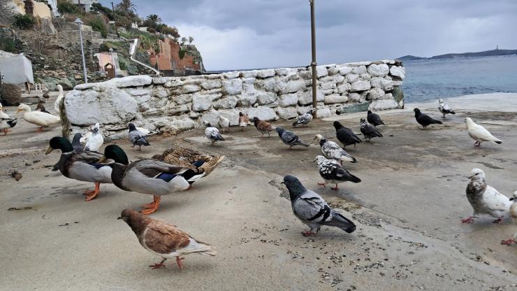 Η φωτογραφία της ημέρας
