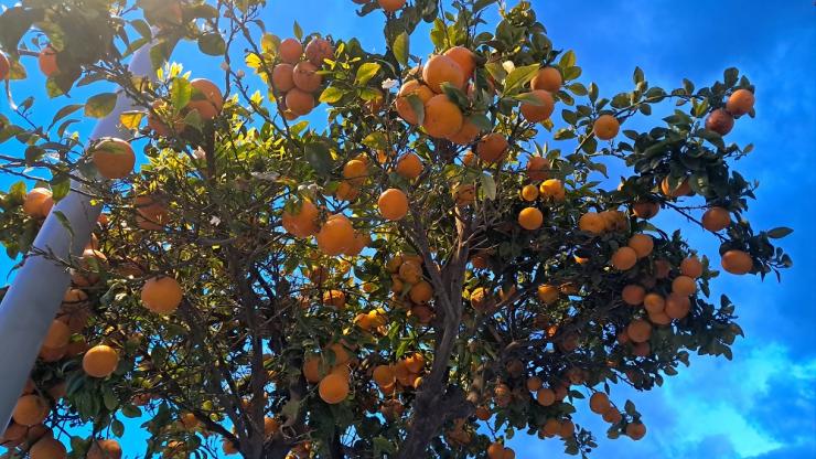 Η φωτογραφία της ημέρας