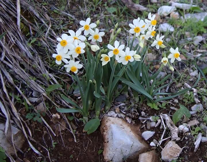 Η φωτογραφία της ημέρας