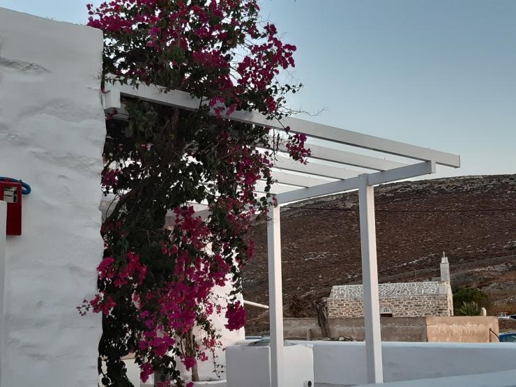 Η φωτογραφία της ημέρας