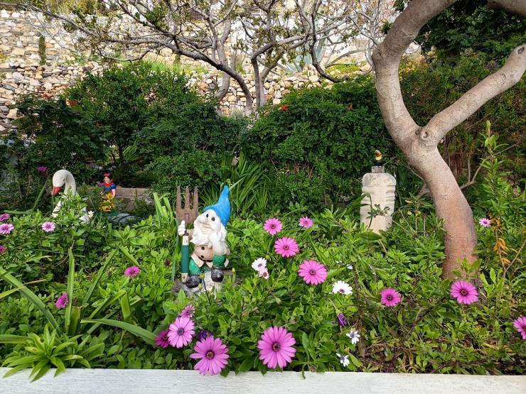 Η φωτογραφία της ημέρας