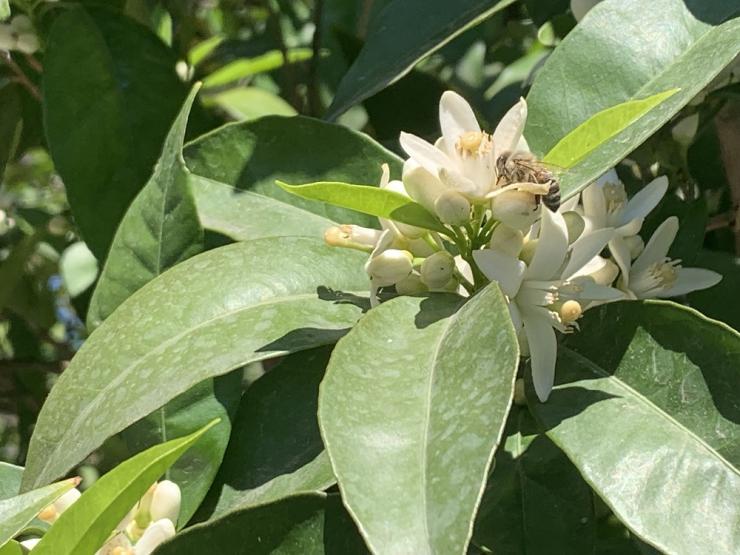 Η φωτογραφία της ημέρας