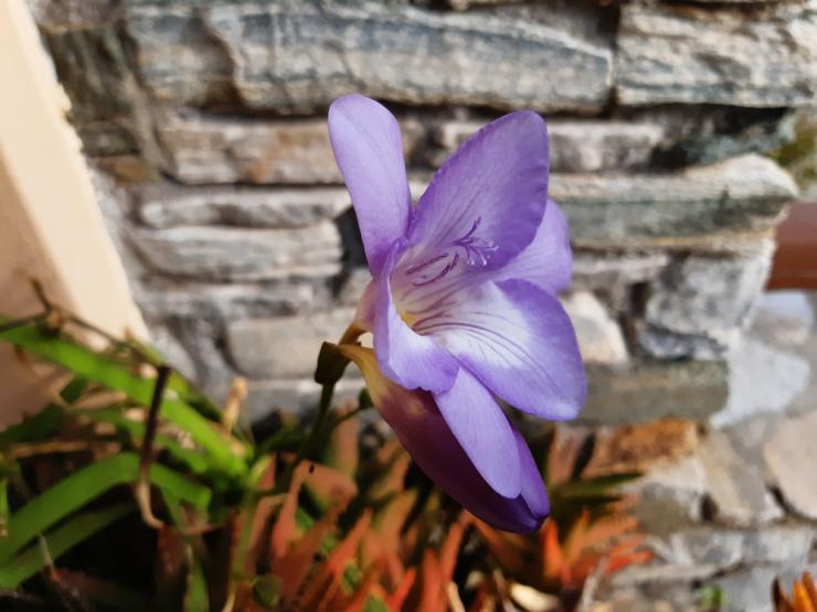 Η φωτογραφία της ημέρας