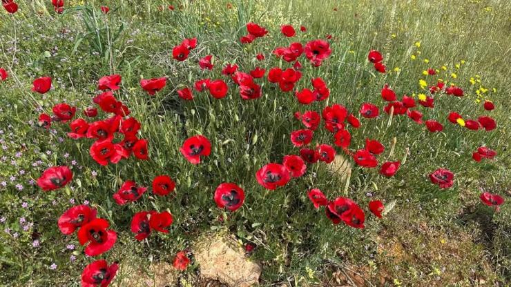 Η φωτογραφία της ημέρας