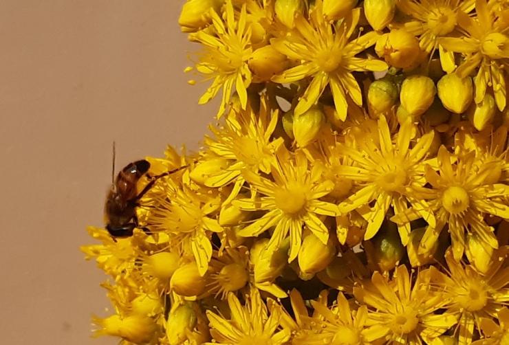 Η φωτογραφία της ημέρας