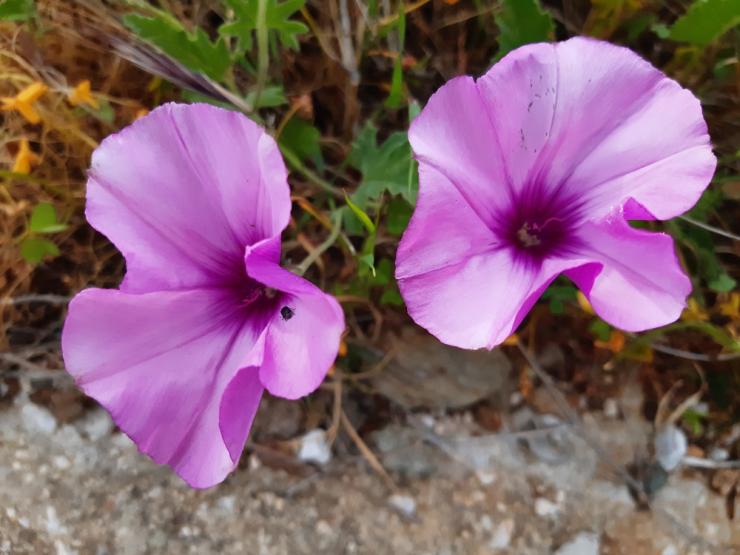 Η φωτογραφία της ημέρας