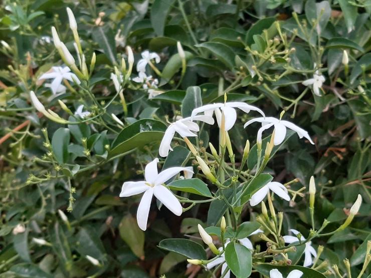 Η φωτογραφία της ημέρας