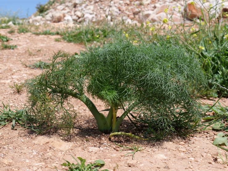 Η φωτογραφία της ημέρας