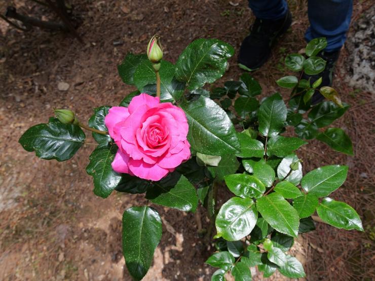 Η φωτογραφία της ημέρας